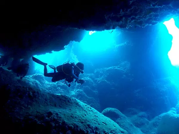 石垣島ボートファンダイビング2本・★2泊3日宿泊付（ツイン・洋室指定）【石垣島前泊・マリンロッジ マレア石垣島・10歳以上・1名可・温かいランチ付・器材別途★店舗⇔バスターミナル・港離島ターミナル無料送迎】