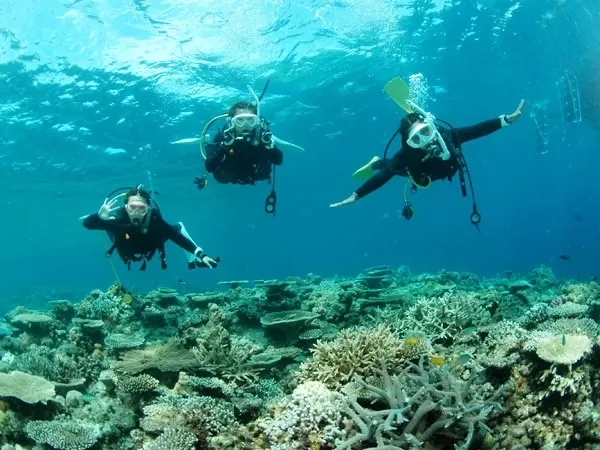 県民割！通常より21％～28%OFF★慶良間ボートファンダイビング2本【宜野湾マリーナ発・終日・厳選ポイント回遊・水中写真付き(ダウンロード形式)・快適グッズレンタル無料】