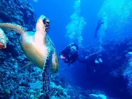 県民割！6月15%・7月10%OFF★慶良間ボートファンダイビング2本【那覇発・器材フルレンタル込・写真データ＆船上あったかランチ無料・慶良間一筋20年の上級プロガイド・2016年PADI・ダイビングショップ日本一受賞店】