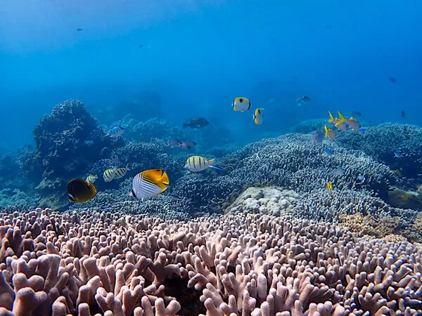 宮古島｜カヤッファビーチ｜中の島海岸｜体験ダイビング