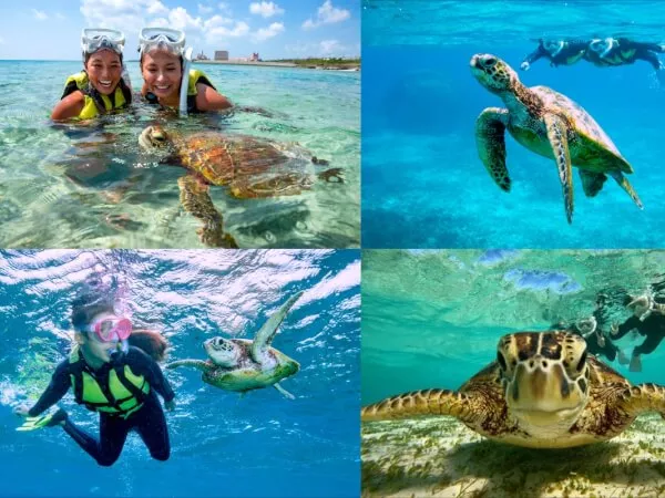 ここにプラン名が入ります。詳細ではプラン名は全て表示します。最大で2行