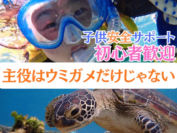 【那覇・糸満周辺】創業以来、無事故で安心！『ウミガメ＆100種以上の生物探索シュノーケリング』★お子様専用フロート完備★泳げなくてもOK★送迎可★