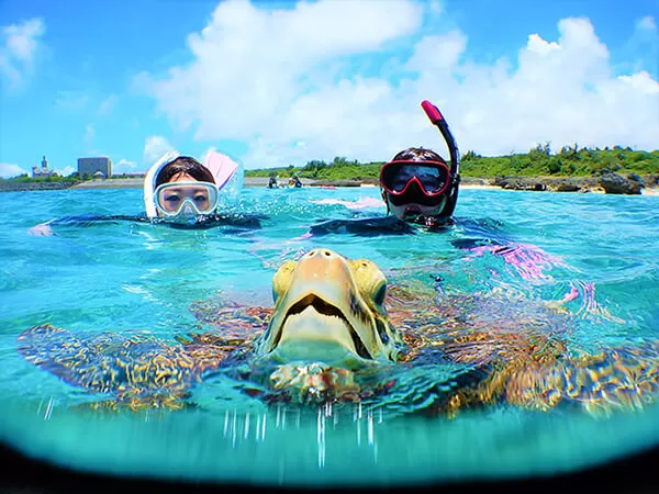 宮古島｜ウミガメシュノーケル｜貸切