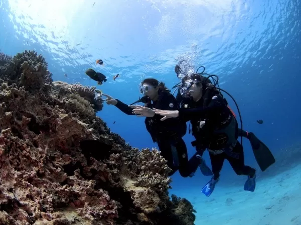 瀬底ビーチマリンクラブ・沖縄・体験ダイビング・水族館近く