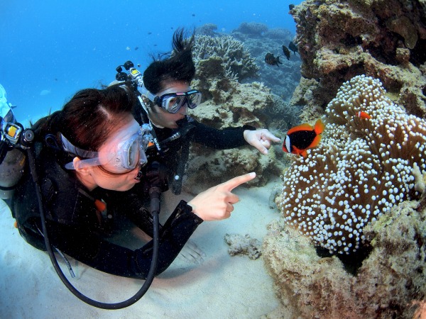 体験ダイビング