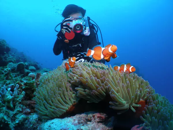 慶良間体験ダイビング1本＋シュノーケリング★【那覇発・半日・10歳以上・1名可・お魚餌付＆撮影写真付（データ：Facebook共有）】（H/Aコース）