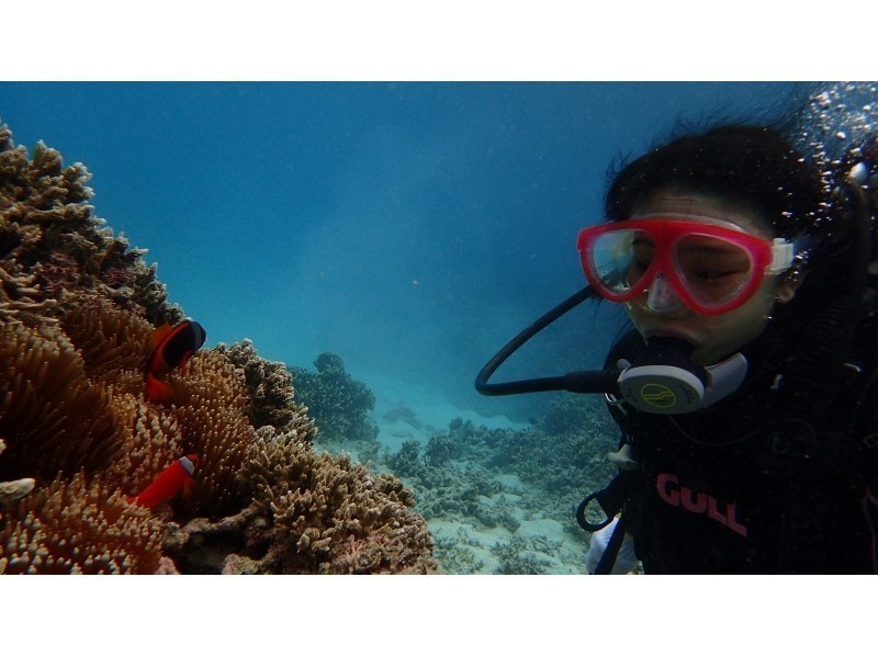 宮古島アクアティックアドベンチャー｜宮古島｜伊良部島｜下地島｜体験ダイビング