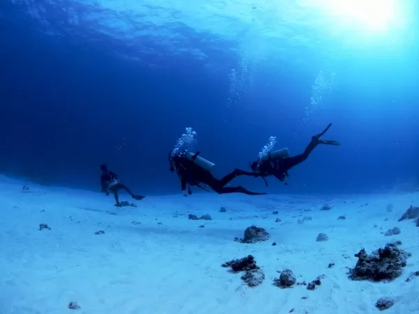 体験ダイビング