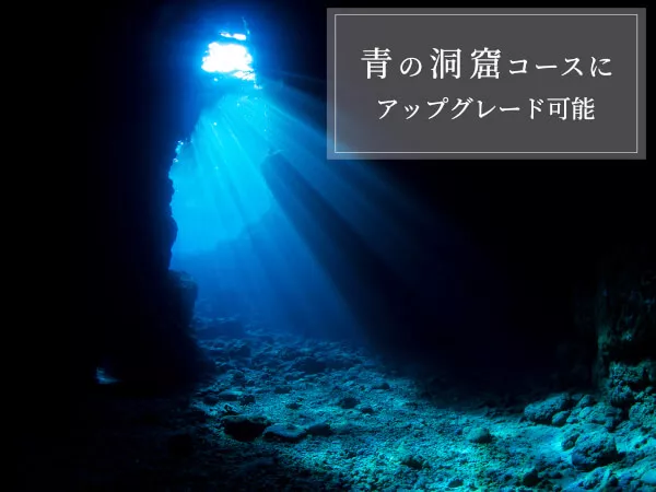 ご希望の方は神秘的な人気スポット、青の洞窟を楽しめる「青の洞窟体験ダイビングコース」へアップグレードすることも可能です。