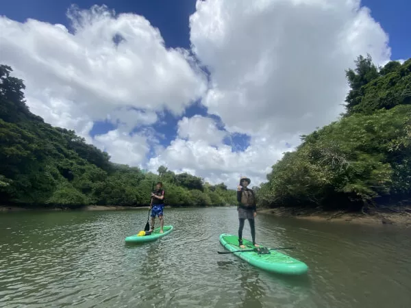ここにプラン名が入ります。詳細ではプラン名は全て表示します。最大で2行