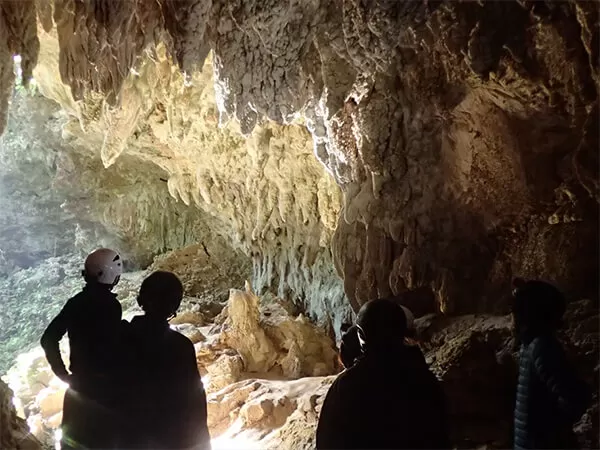 西表島｜カヌー｜トレッキング｜鍾乳洞｜ケイビング