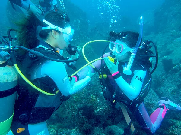 宮古島｜オープンウォーター｜ライセンス｜ダイビング