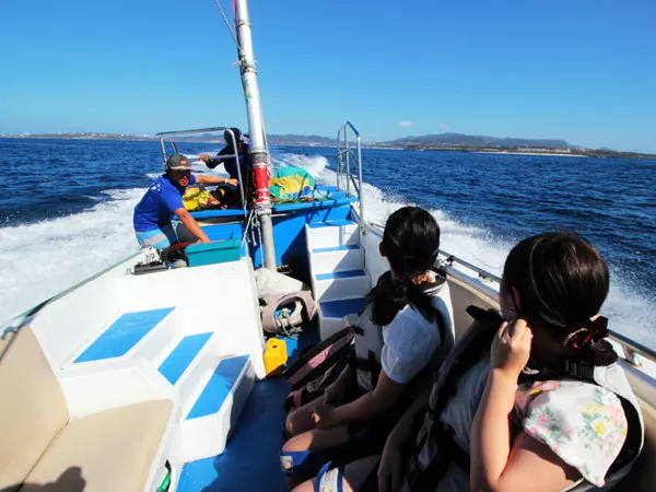 パラセーリング