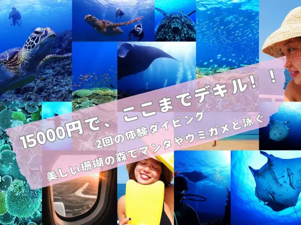 ここにプラン名が入ります。詳細ではプラン名は全て表示します。最大で2行