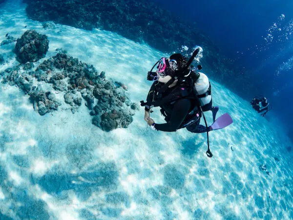 アルファダイブでは慶良間諸島・チービシ諸島の色々なポイントを巡ります