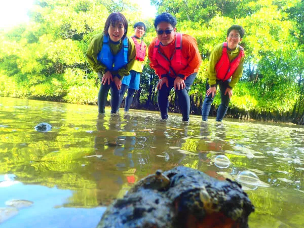 マングローブ｜カヤック｜億首川｜ネイチャーみらい館｜アースシップ沖縄4