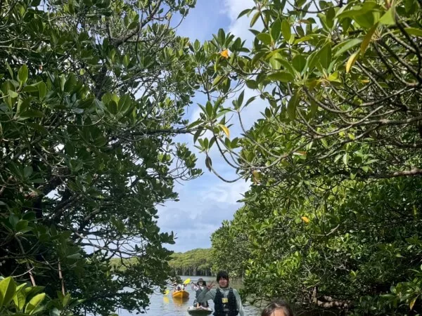 石垣島シュノーケルツアー2|石垣島・名蔵湾(なぐらわん)|SUP(スタンド・アップ・パドルボード)