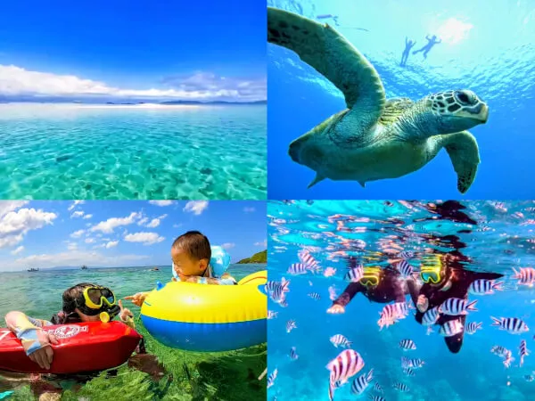 石垣島青の洞窟・ツアー・半日