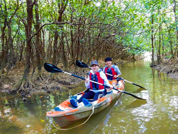 やんばる｜マングローブカヌー