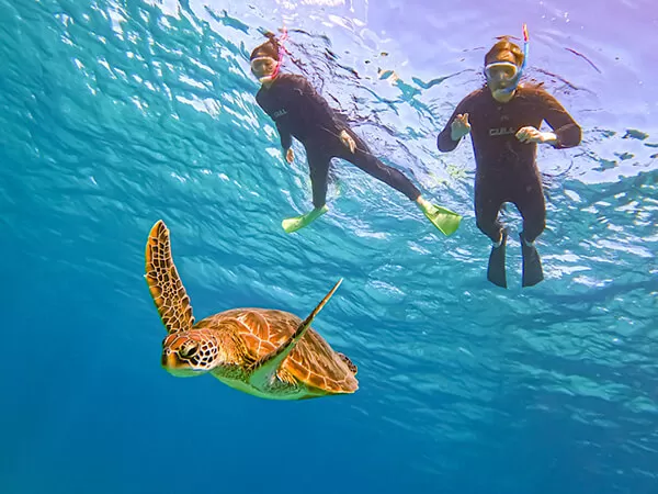 宮古島｜ウミガメシュノーケル
