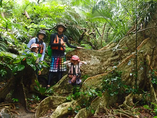 西表島｜カヌー｜トレッキング｜鍾乳洞｜ケイビング