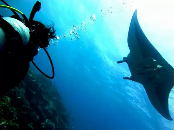 石垣島｜マンタ｜シュノーケリング｜幻の島