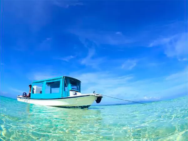 石垣島 幻の島（浜島）＆ウミガメシュノーケリング