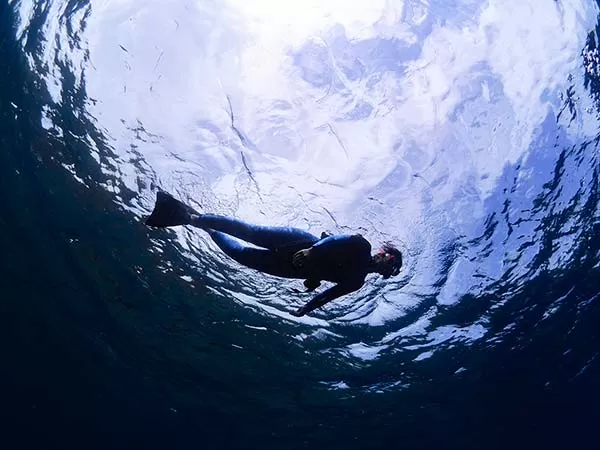 スキンダイビングライセンス