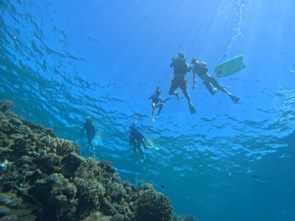水中から水面を映すと宙に浮いてるようなシルエット♪