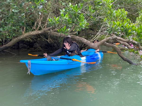 マングローブの下をイナバウアー