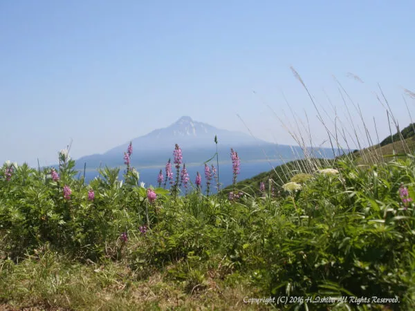 ここにプラン名が入ります。詳細ではプラン名は全て表示します。最大で2行