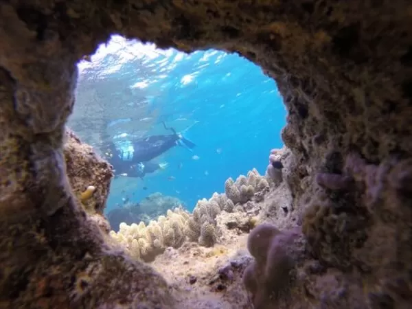 船酔いの心配無し♪　お手軽ビーチシュノーケリング in ゴリラチョップ　【GoPro】写真撮影　無料プレゼント♪　冬場の北風に強く催行率の高いポイントです！