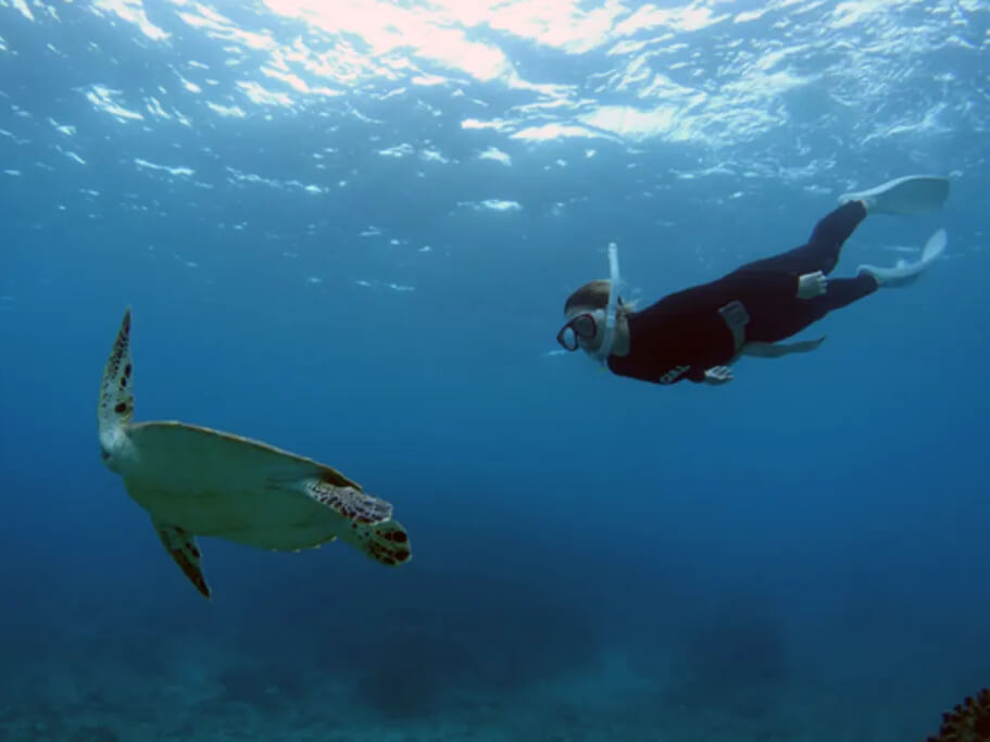 石垣島｜スキンダイビング