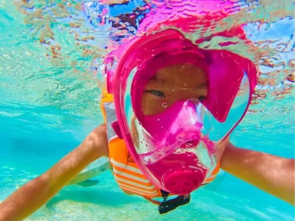 ここにプラン名が入ります。詳細ではプラン名は全て表示します。最大で2行