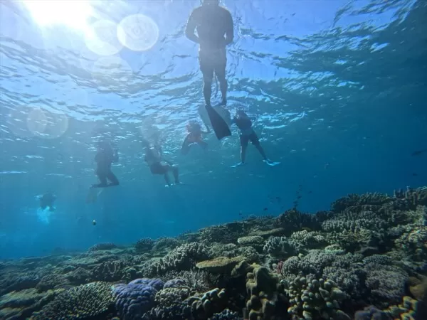 サンゴ礁の楽園「水納島」