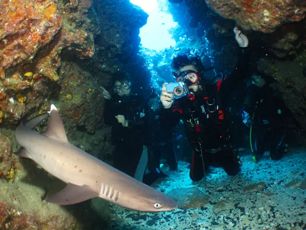 慶良間体験ダイビング