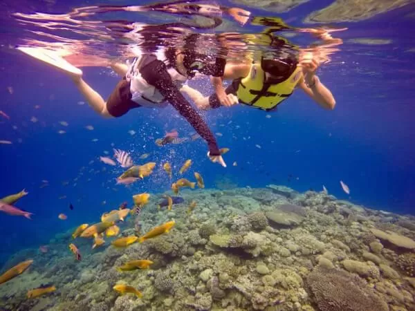 ここにプラン名が入ります。詳細ではプラン名は全て表示します。最大で2行