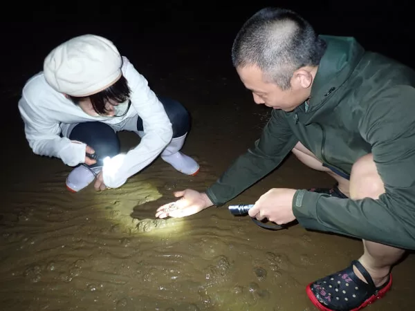 ここにプラン名が入ります。詳細ではプラン名は全て表示します。最大で2行