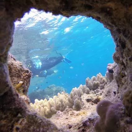 現地追加マリンアクティビティが最大25％OFF