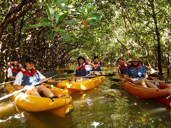 やんばる｜マングローブカヌー