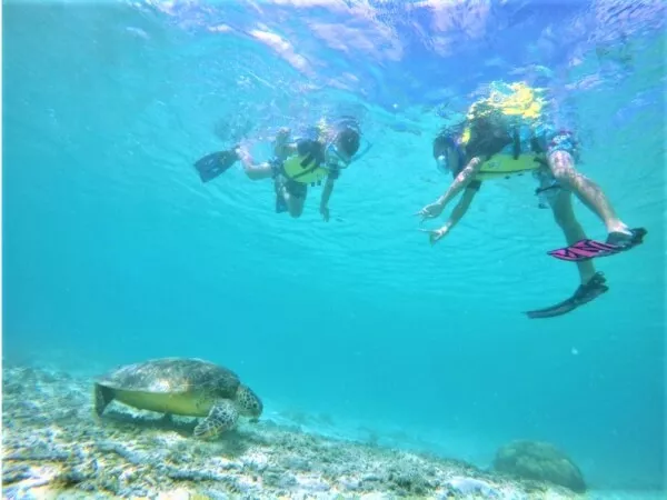 とかしくビーチ海がめシュノーケルツアー