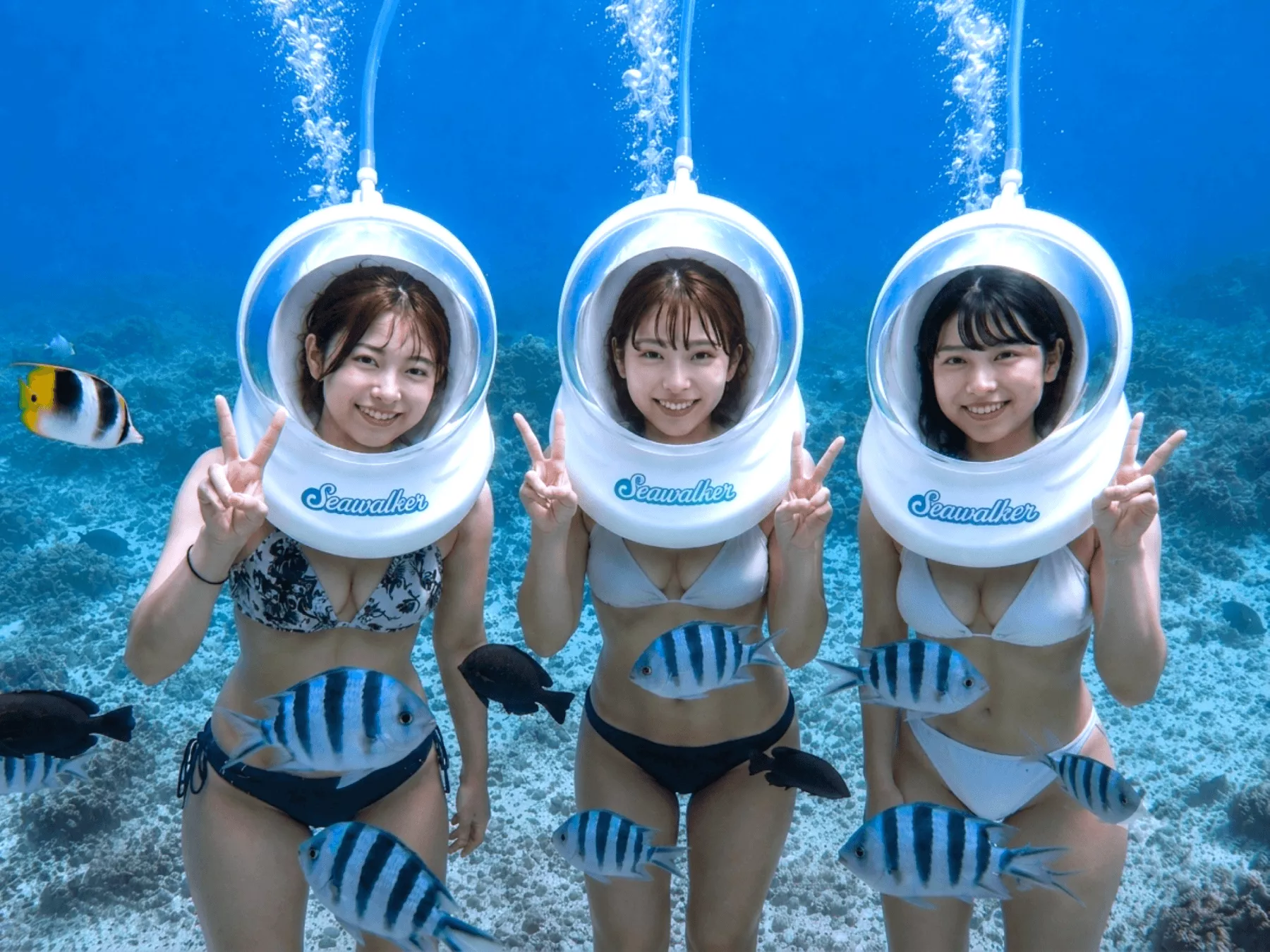 沖楽ブログ