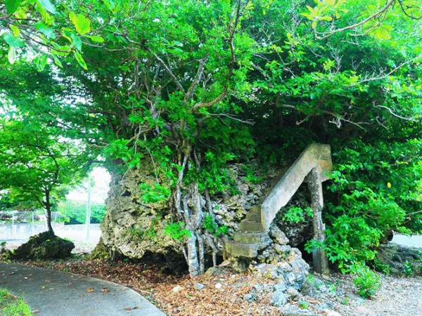 桃林寺