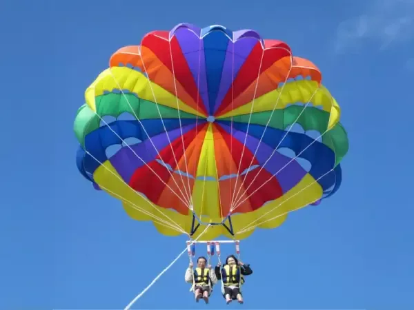 ここにプラン名が入ります。詳細ではプラン名は全て表示します。最大で2行