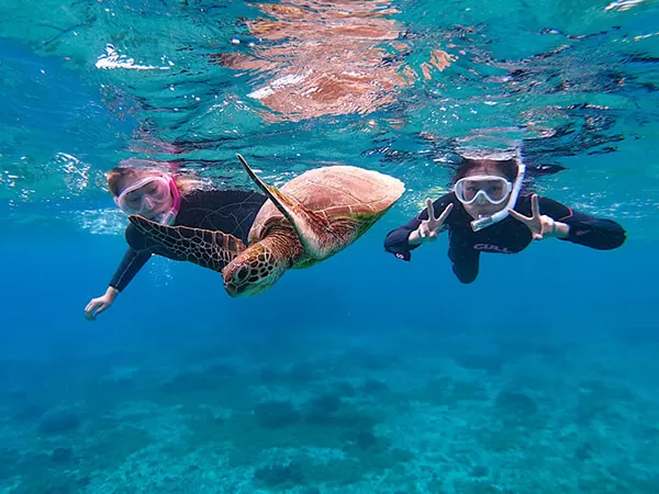 宮古島｜ウミガメシュノーケル