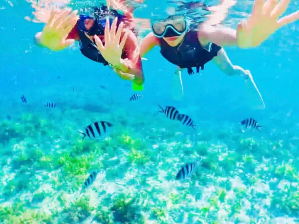 ここにプラン名が入ります。詳細ではプラン名は全て表示します。最大で2行