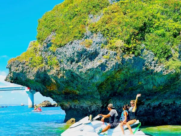 ここにプラン名が入ります。詳細ではプラン名は全て表示します。最大で2行