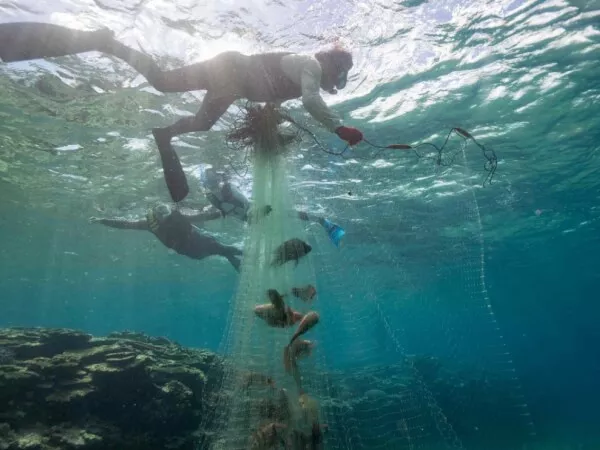 ここにプラン名が入ります。詳細ではプラン名は全て表示します。最大で2行