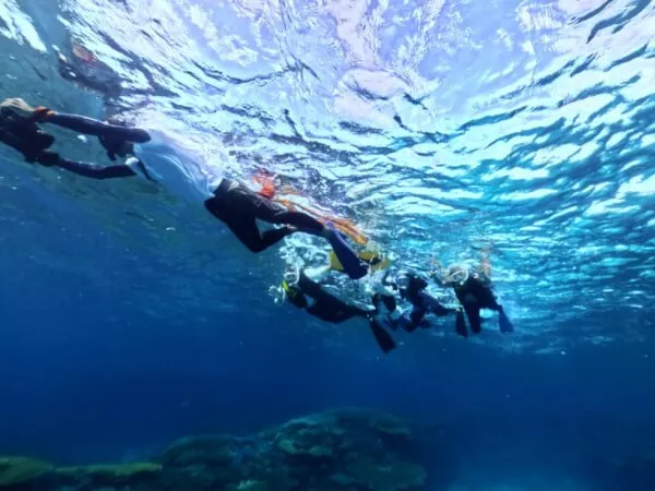 ここにプラン名が入ります。詳細ではプラン名は全て表示します。最大で2行