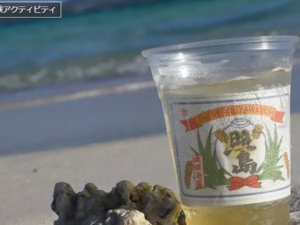 ここにプラン名が入ります。詳細ではプラン名は全て表示します。最大で2行